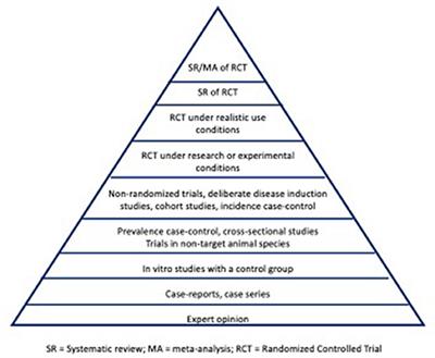 Levels of Evidence, Quality Assessment, and Risk of Bias: Evaluating the Internal Validity of Primary Research